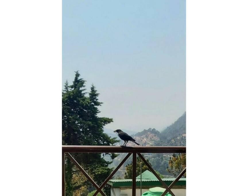 Whistling Thrush Cottage, Bhimtal ناينيتال المظهر الخارجي الصورة