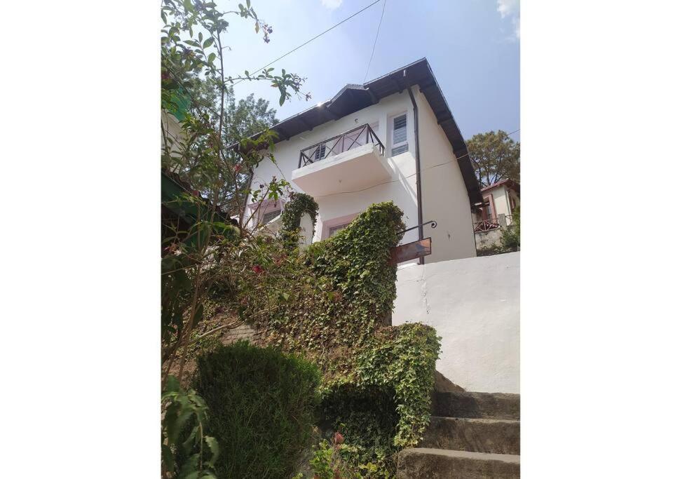 Whistling Thrush Cottage, Bhimtal ناينيتال المظهر الخارجي الصورة
