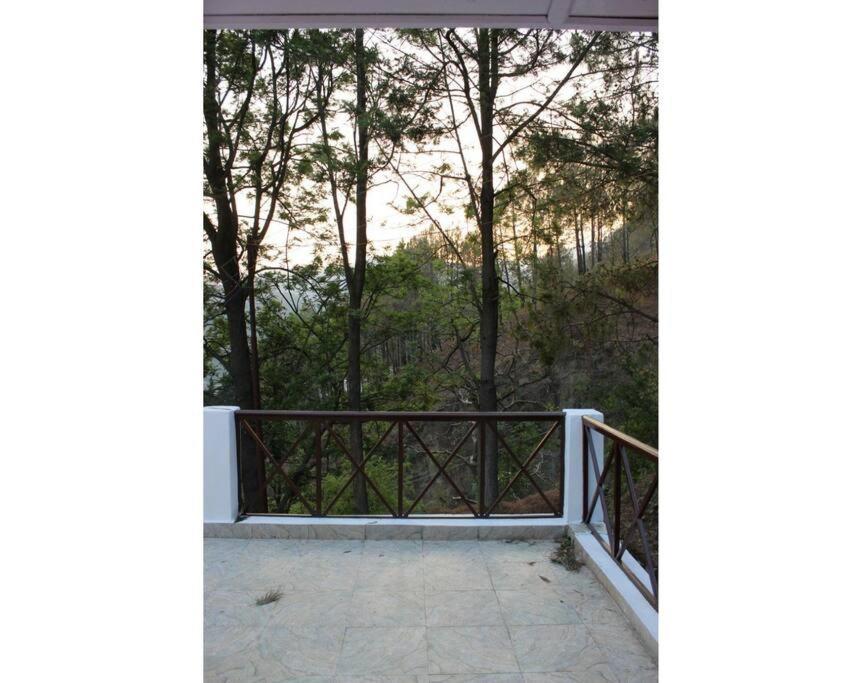 Whistling Thrush Cottage, Bhimtal ناينيتال المظهر الخارجي الصورة